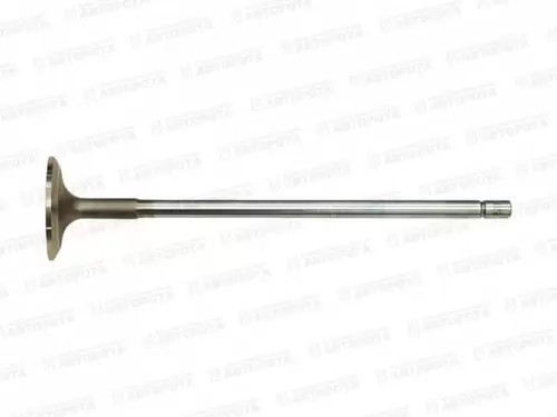 Клапан ЯМЗ впускной двигателя ЯМЗ-650, 651 5010359501 650-1007008 - Авторота