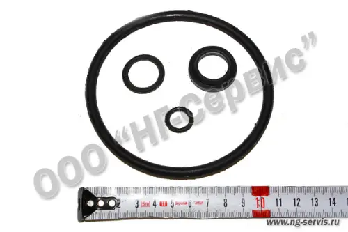 Ремкомплект цилиндра запора борта МАЗ 503Б-8505310-01 - Авторота