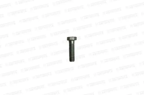 Болт М  8х1,25х 30 УРАЛ 201460-П29 (УралАЗ) - Авторота