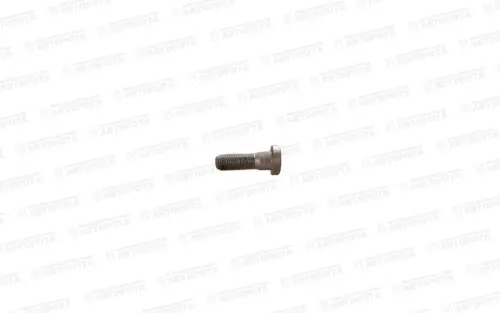 Болт SCANIA ступицы 309220 - Авторота