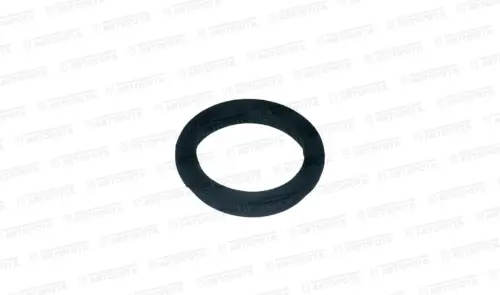 Уплотнитель ЗМЗ свечного колодца 40624.1007248-00 (УАЗ) - Авторота