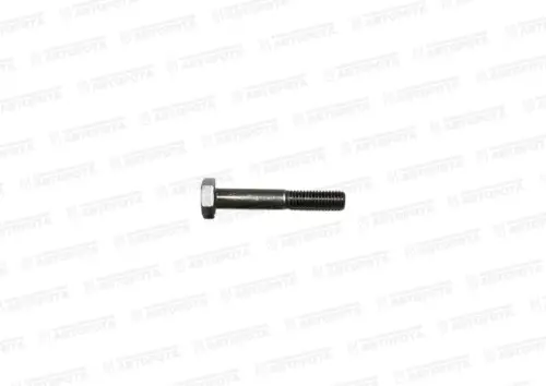 Болт М 10х1,5х 60 - Авторота