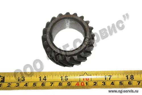 Шестерня Д-240 колен. вала 240-1005030-А (МТЗ) - Авторота