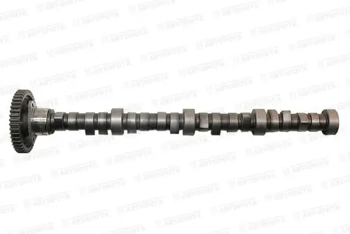 Вал распределительный для а/м КАМАЗ ЕВРО с крышкой и шестерней в сборе 740.21-1006010 (АЗ КАМАЗ) - Авторота