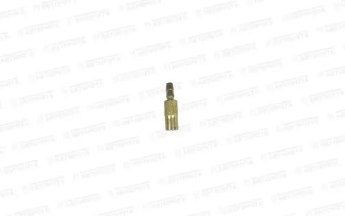 Наконечник шланга подкачки d=6мм (бронза) KR-3362 - Авторота