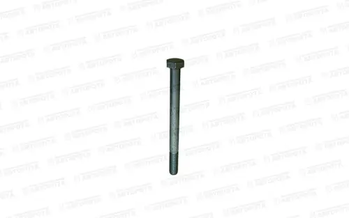 Болт М  8х1,25х100 КАМАЗ крышки головки цилиндров 7406-1003266 - Авторота