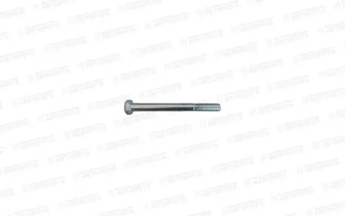 Болт М 16х2,0х160 амортизатора E9900084205 - Авторота