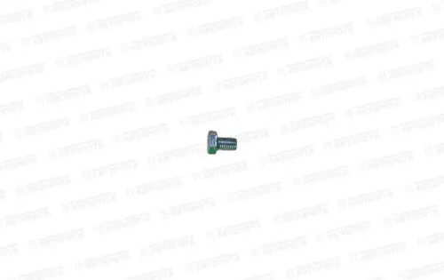 Болт М  8х1,25х 12 цинк - Авторота