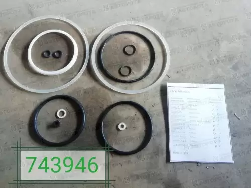 Ремкомплект домкрата 25тн ДГ 25.3913010 (ШААЗ) - Авторота