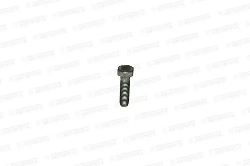 Болт М  8х1,25х 30 УРАЛ 201460-П29 (УралАЗ) - Авторота