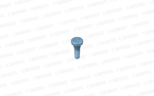 Болт М 22х2,25х72 SCANIA ступицы SA041.396 - Авторота