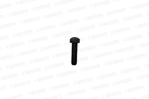 Болт М 16х1,5х 60 башмака (ММК-МЕТИЗ) - Авторота