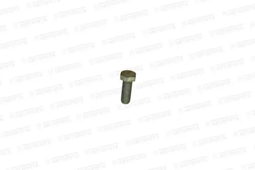 Болт М 12х1,75х32 331969-П29 (УралАЗ) - Авторота