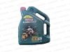 Масло мот. Castrol Magnatec  5W30 А3/В4 (синт.бенз/диз)  (5л) Акция