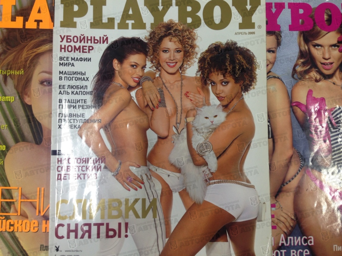 PlayBoy - фото девушек из журнала бесплатно.