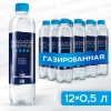 Нап. Niagara Premium газ. 0,5л (ПЭТ)