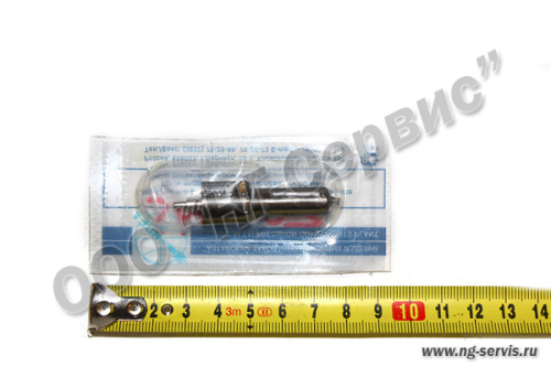 Распылитель для а/м КАМАЗ ЕВРО-2 (двигатель 740.50-360) форсунка 216-02 906-1112110-1 (АЗПИ) - Авторота