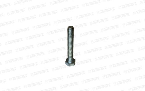 Болт М  8х1,25х 50 цинк - Авторота