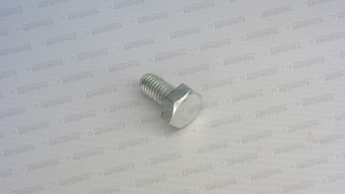 Болт М  8х1,25х 16 на 090 диск 1/60432/21 - Авторота