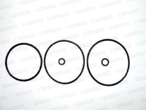 Ремкомплект компрессора одноцилиндрового 53205-3509015 (РТИ) (ВТМ) - Авторота