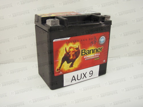 Аккумулятор 12В 9А/ч Banner Running Bull Backup AUX9 AGM 50901 - Авторота