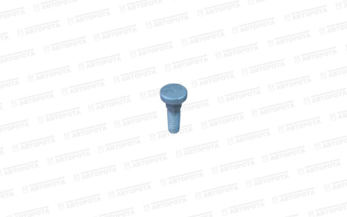 Болт М 22х2,25х72 SCANIA ступицы SA041.396 - Авторота