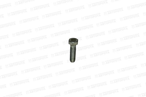 Болт М  8х1,25х 30 УРАЛ 201460-П29 (УралАЗ) - Авторота Болт М  8х1,25х 30 УРАЛ 201460-П29 (УралАЗ) - Авторота