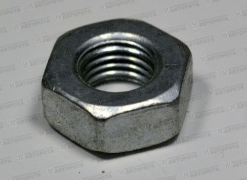 Гайка М 10х1,25х8 1/21647/29 (АЗ КАМАЗ) - Авторота