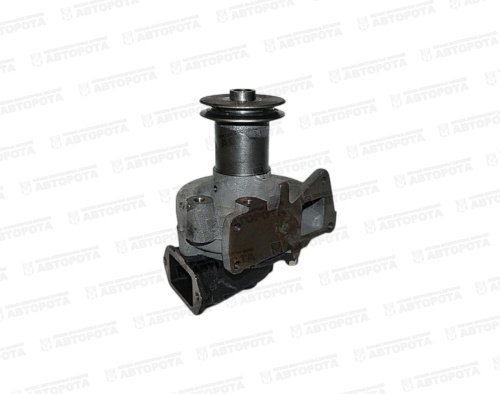 Насос водяной ЯМЗ 7511-1307010-02 (03) (ЯМЗ) - Авторота