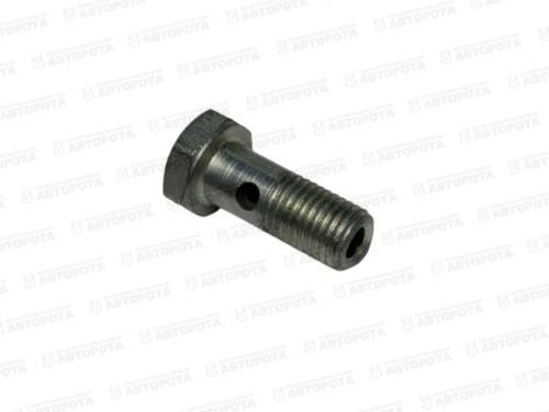 Болт-штуцер М  8х1,0х21 для а/м КАМАЗ Common Rail 740.70-1104368 (АЗ КАМАЗ) - Авторота