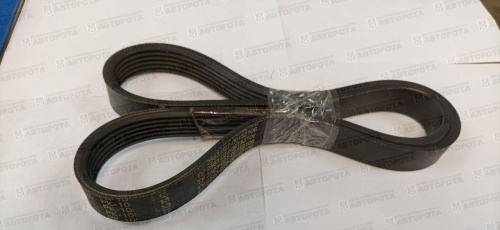 Ремень   6 РК 1013 генератора ЯМЗ-536 5340.3701170-10 (НИИРП) (R) - Авторота